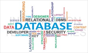 Oracle database services usa