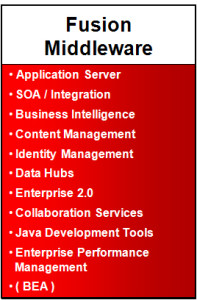 Oracle Fusion Middleware solutions usa